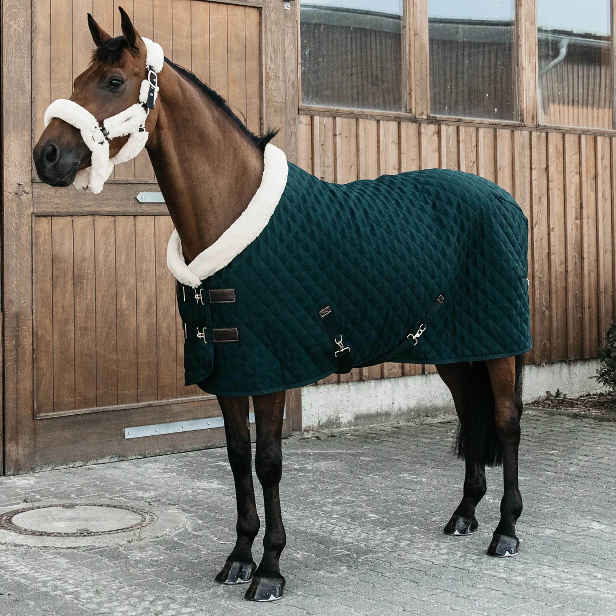 Kentucky 160g Show Rug - Pine Green