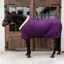 Kentucky 160g Show Rug - Royal Purple