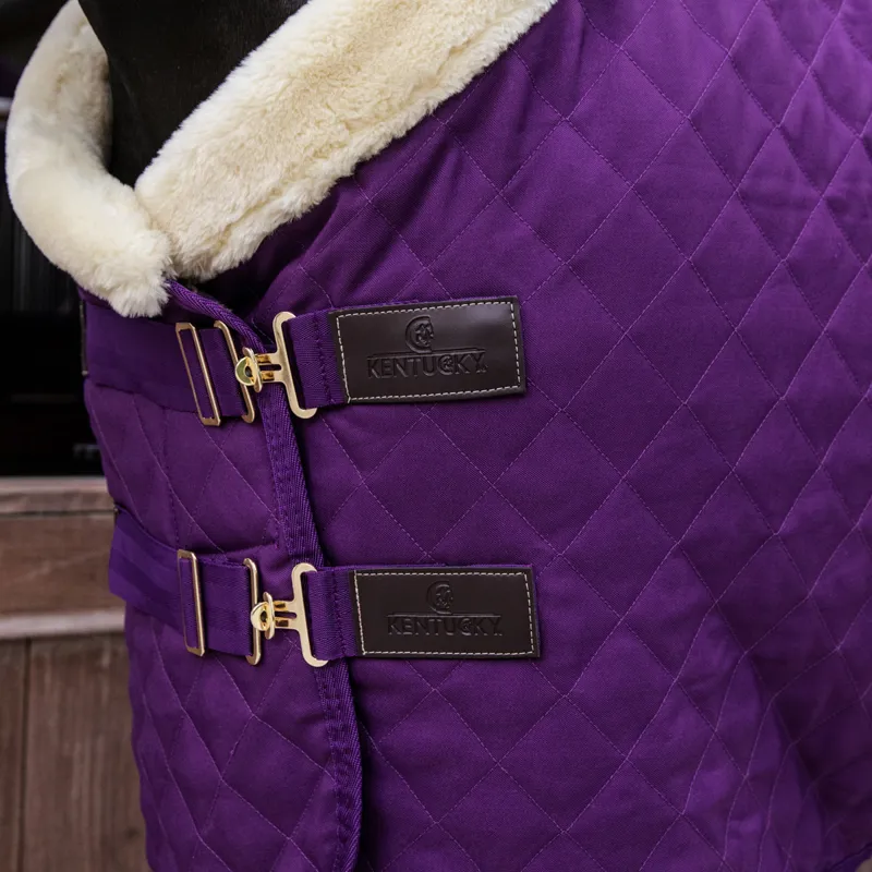 Kentucky 160g Show Rug - Royal Purple-1