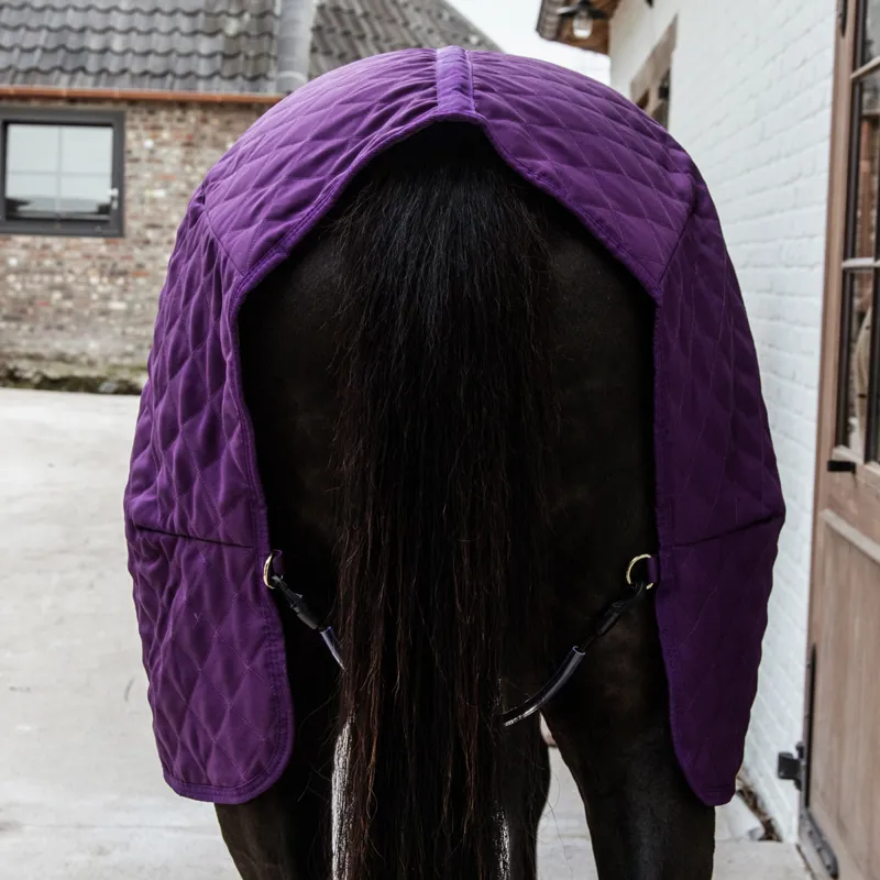 Kentucky 160g Show Rug - Royal Purple-3