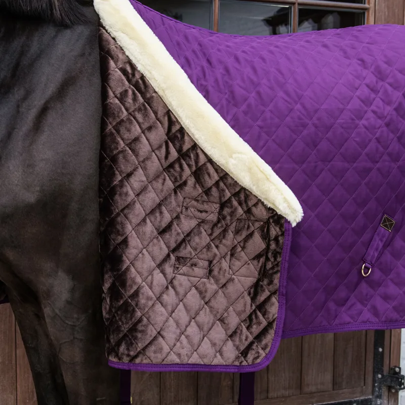Kentucky 160g Show Rug - Royal Purple-4