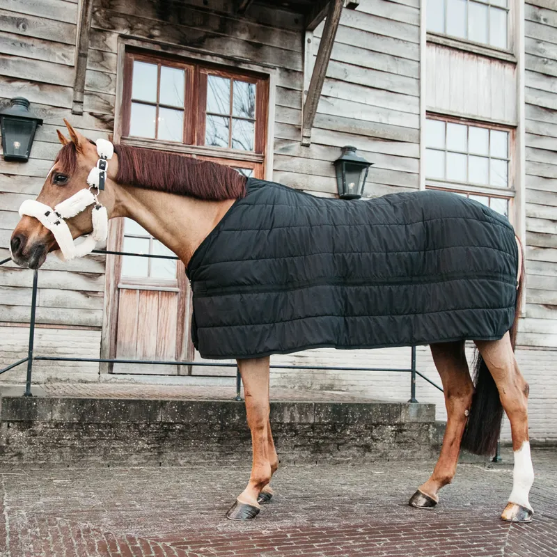 Kentucky 150g Skin Friendly Under Rug - Black