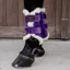 Kentucky Velvet Contrast Brushing Boots - Royal Purple