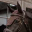 Kentucky Wellington Wave Fly Veil - Brown