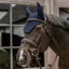 Kentucky Wellington Wave Soundless Fly Veil - Dark Navy