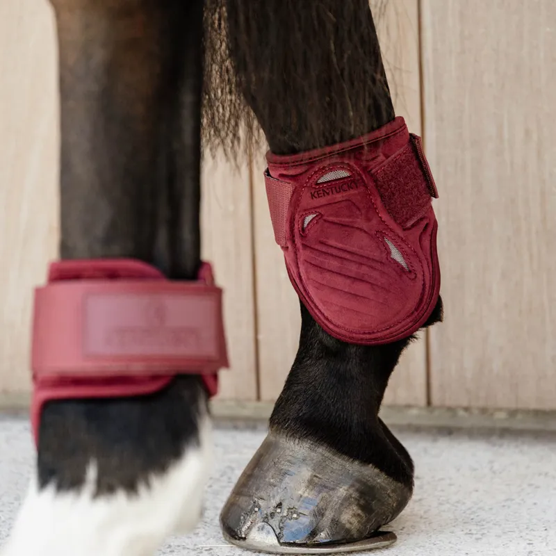 Kentucky Velvet Young Horse Fetlock Boots - Bordeaux-1
