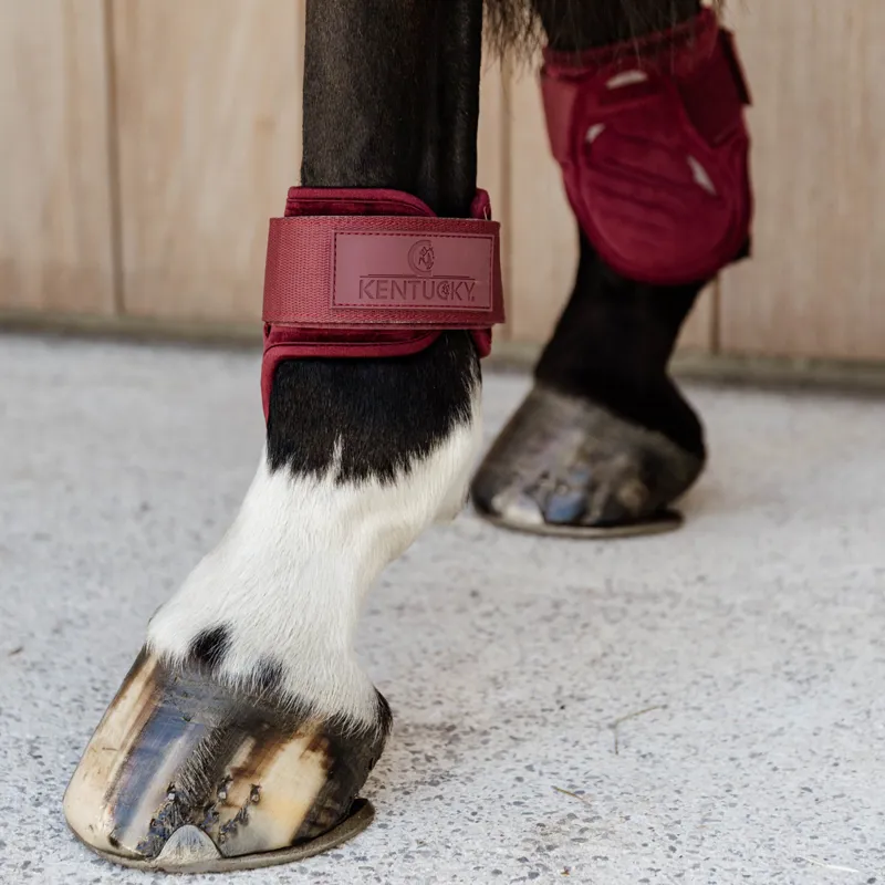 Kentucky Velvet Young Horse Fetlock Boots - Bordeaux