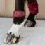 Kentucky Velvet Young Horse Fetlock Boots - Bordeaux