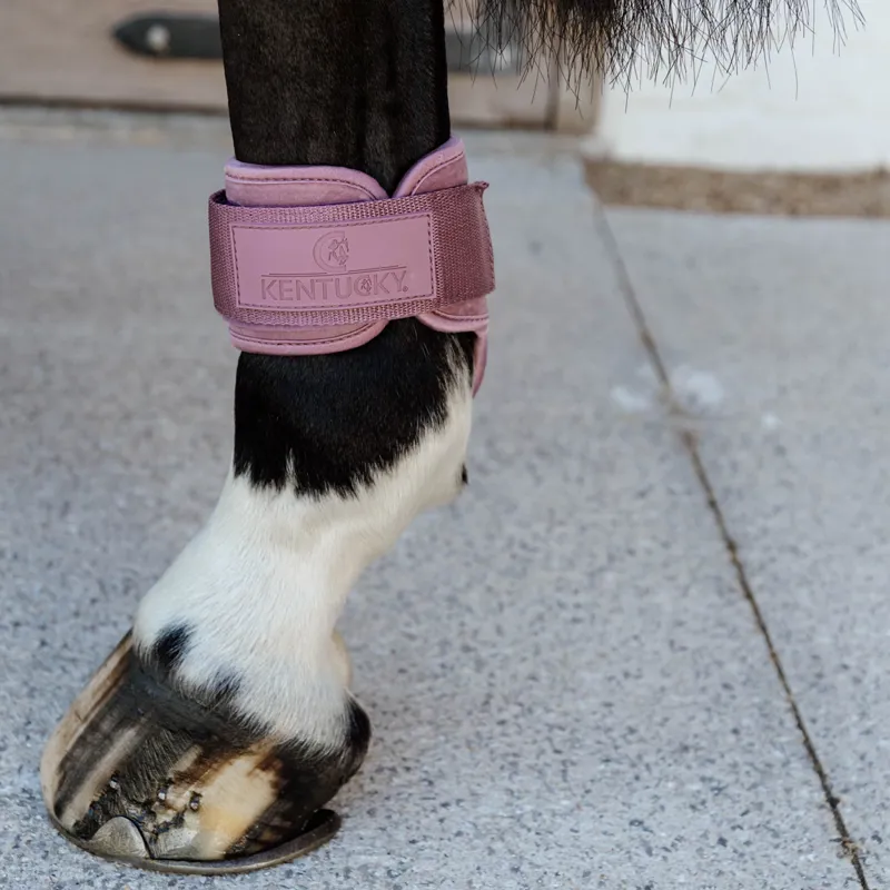 Kentucky Velvet Young Horse Fetlock Boots - Old Rose-1