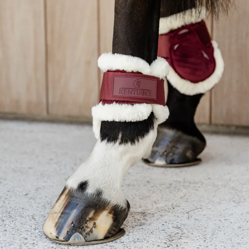 Kentucky Velvet Young Horse Vegan Sheepskin Fetlock Boots - Bordeaux