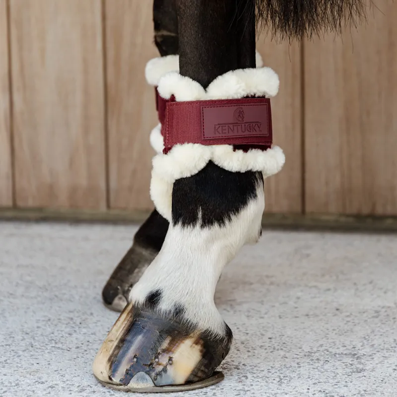 Kentucky Velvet Young Horse Vegan Sheepskin Fetlock Boots - Bordeaux-3
