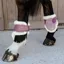 Kentucky Velvet Young Horse Vegan Sheepskin Fetlock Boots - Old Rose