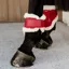 Kentucky Velvet Young Horse Vegan Sheepskin Fetlock Boots - Red