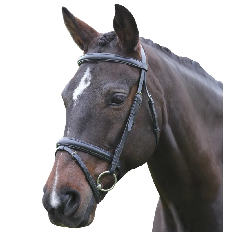 Kincade Flash Bridle Black