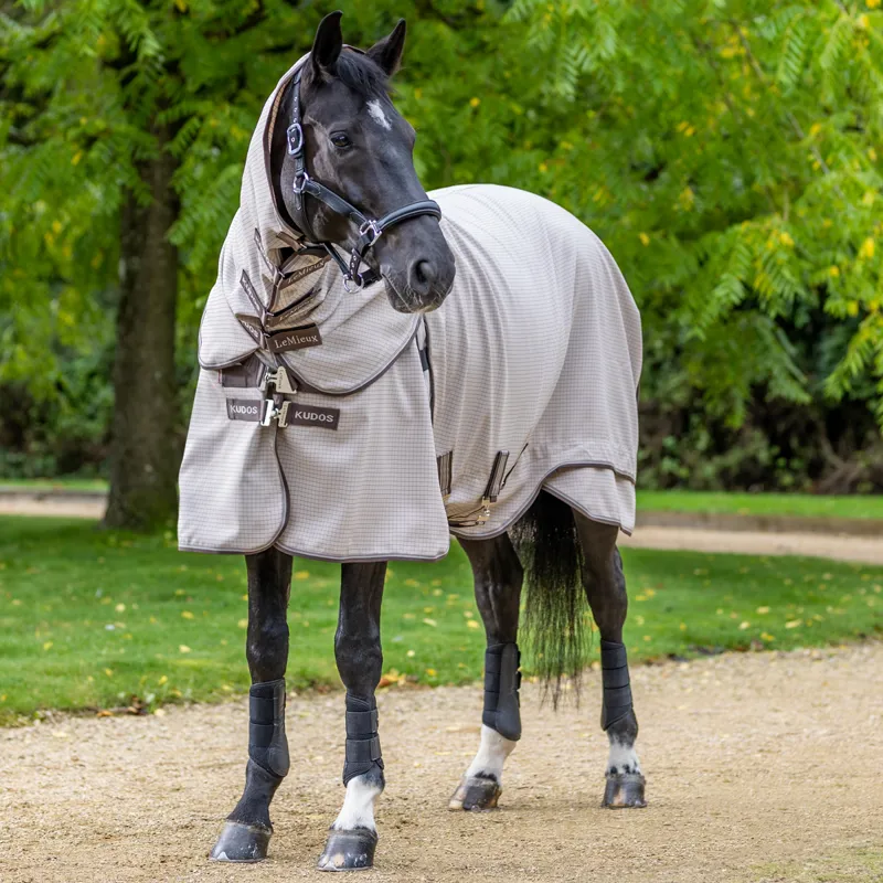 LeMieux Kudos Field Detachable Neck Rug - Stone-1