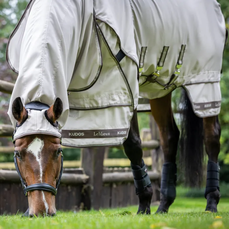 LeMieux Kudos Sweet Itch Fixed Neck Fly Rug - Stone-3