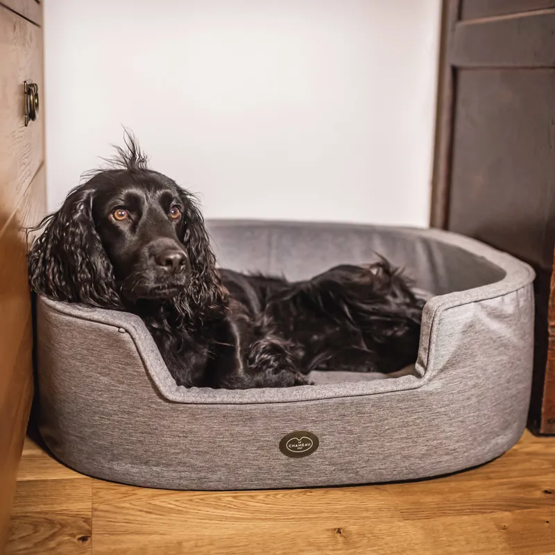 Le Chameau Removable Cushion Dog Bed Grey