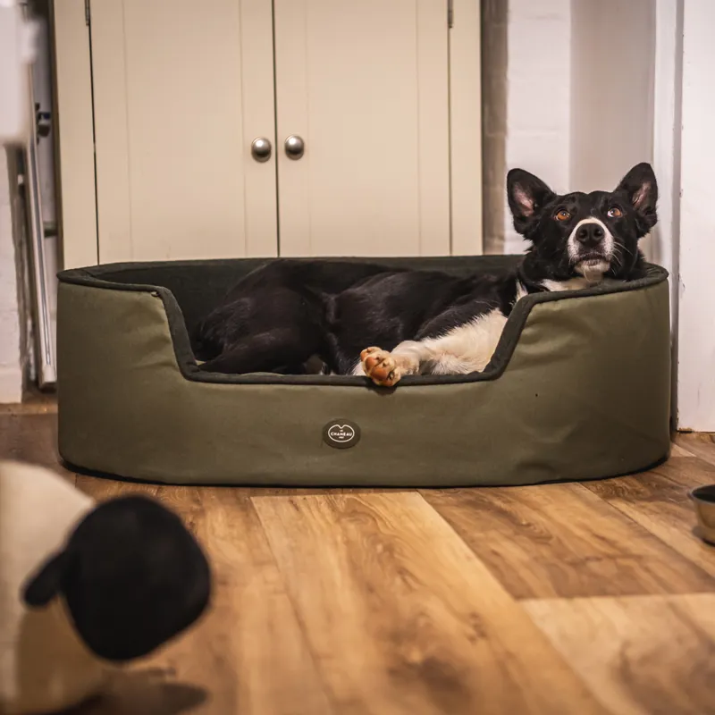 Le Chameau Dog Bed Vert Chameau