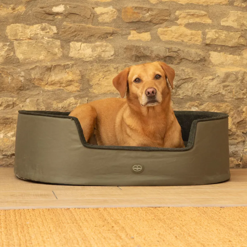 Le Chameau Dog Bed - Vert Chameau-5