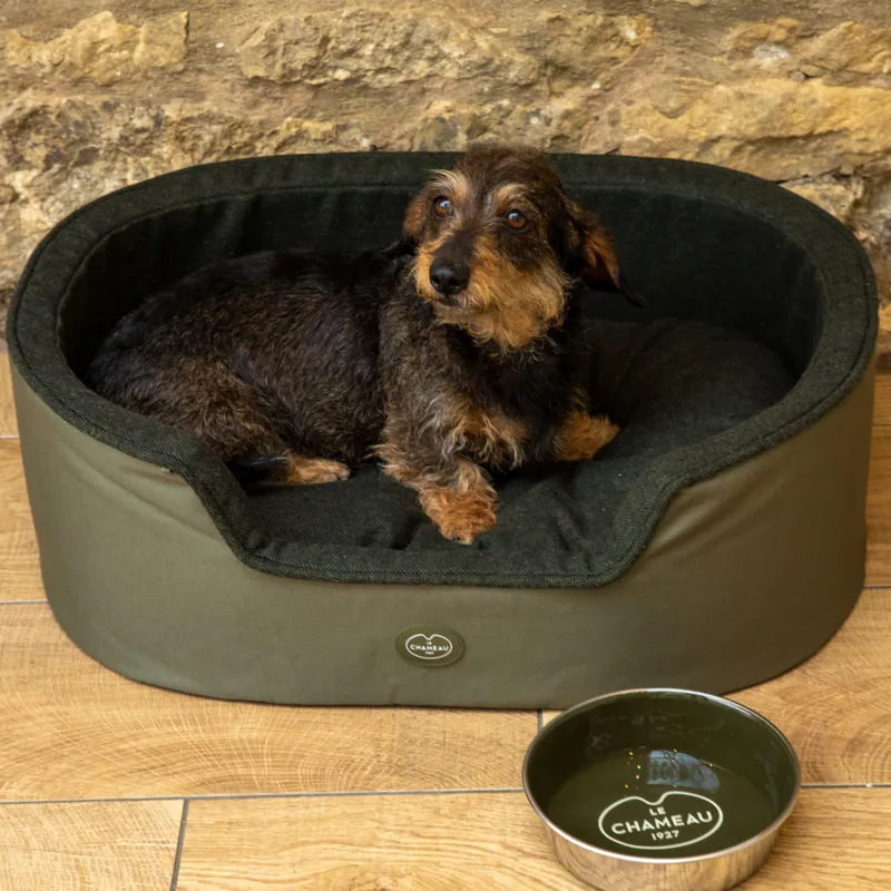 Le Chameau Dog Bed - Vert Chameau-6