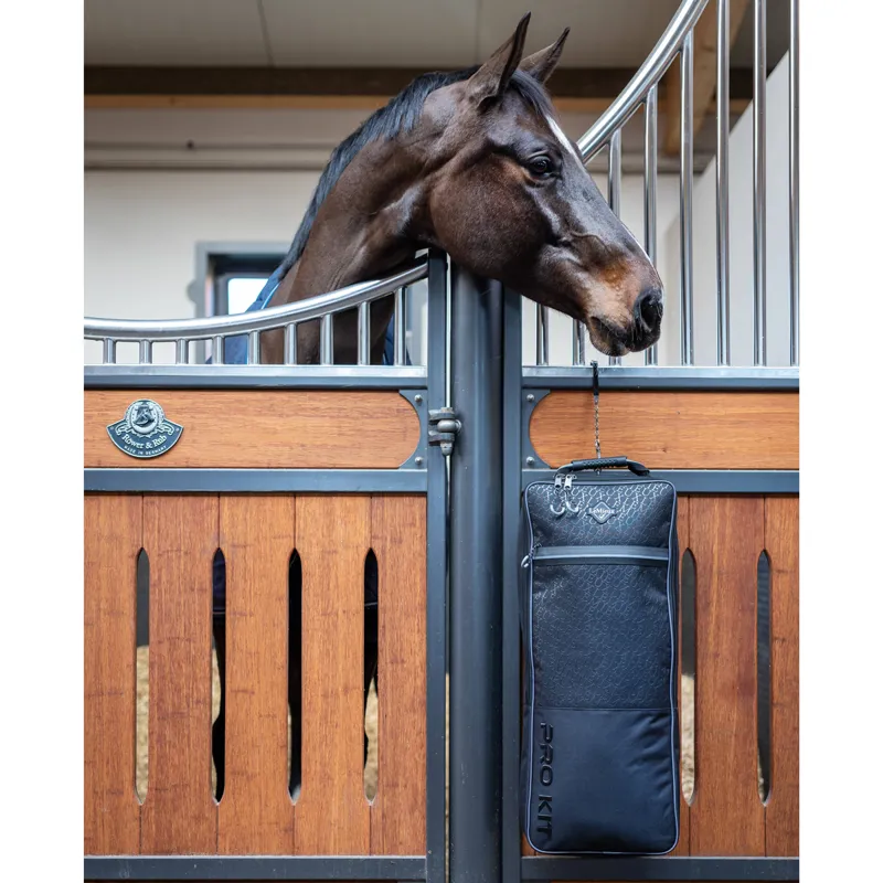 LeMieux Elite Pro Bridle Bag - Black-1