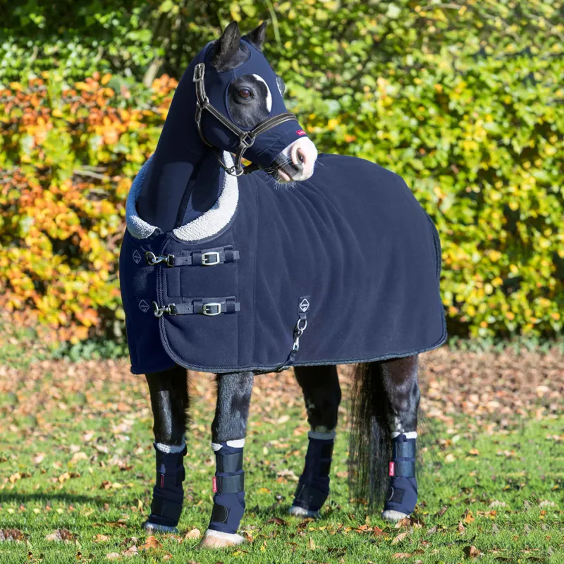 LeMieux Four Seasons Rug - Navy-1