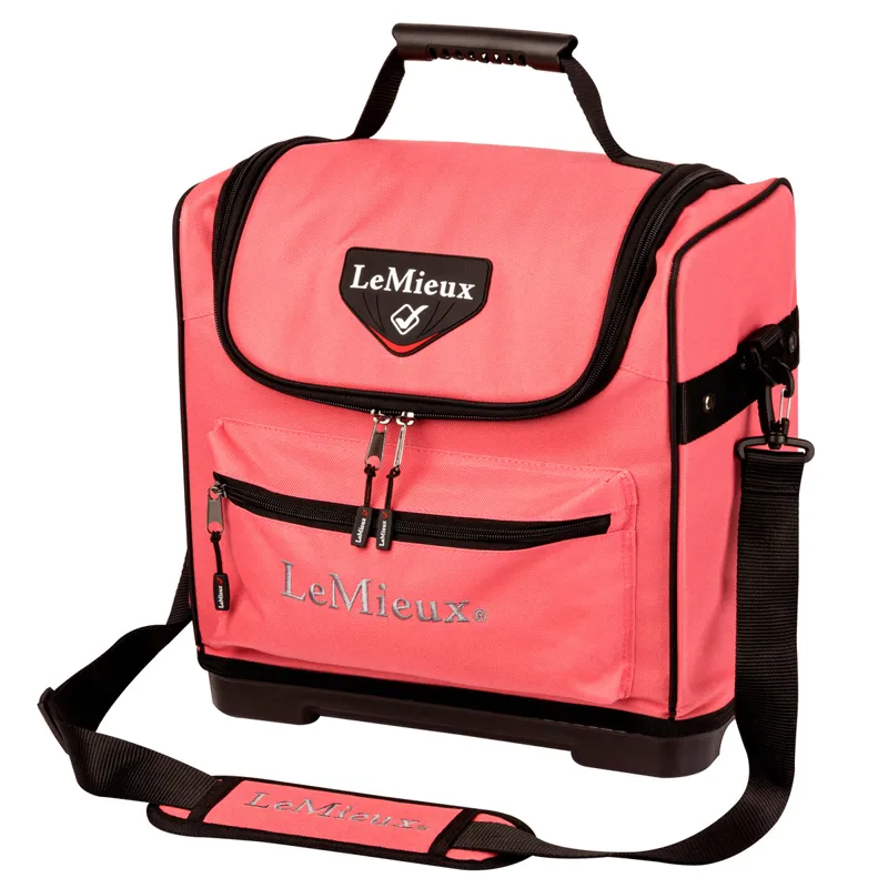 christmas tree bolsa big w