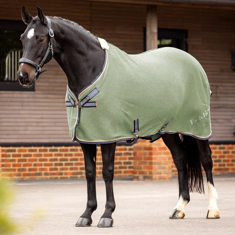 LeMieux Kudos Bamboo Cooler Rug - Fern