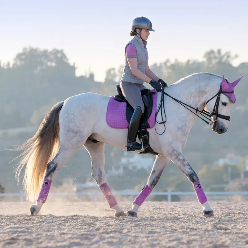 My LeMieux Ladies Isola Gilet - Grey/Lavender-5