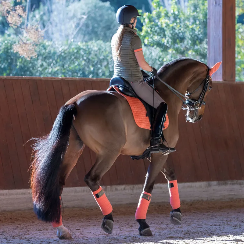 My LeMieux Isola Ladies Gilet - Khaki/Sorbet-6