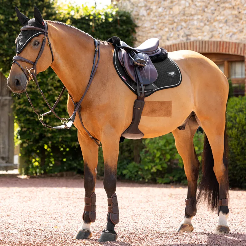 LeMieux Puissance Fly Hood - Black-5