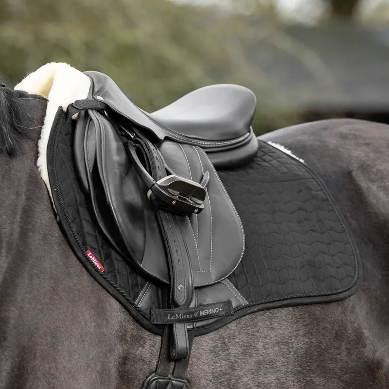 LeMieux Merino+ Half Lined EuroJump GP Square - Black/Natural-1