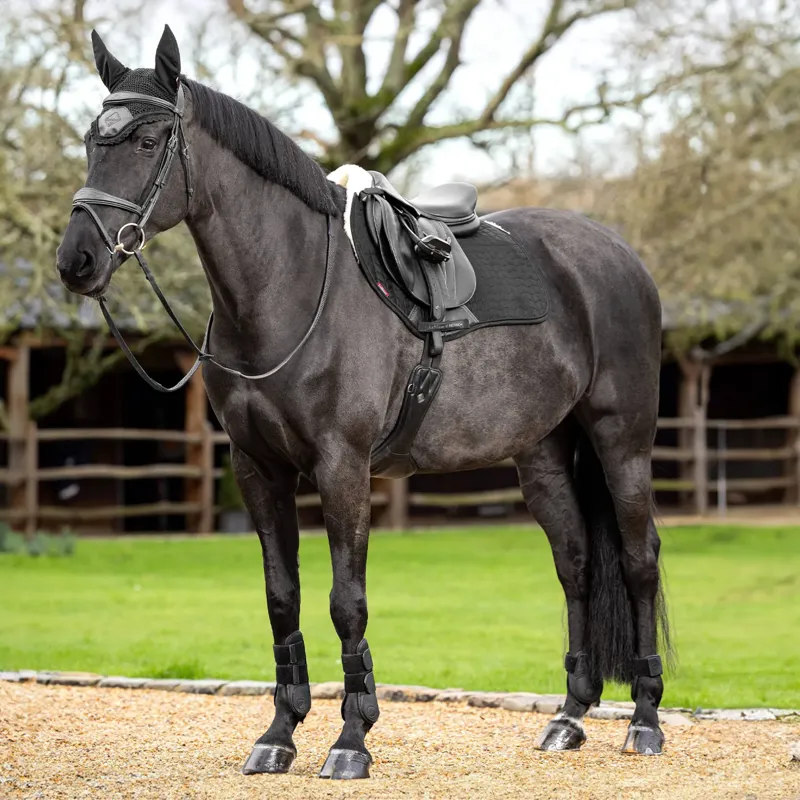 LeMieux Merino+ Half Lined EuroJump GP Square - Black/Natural-2