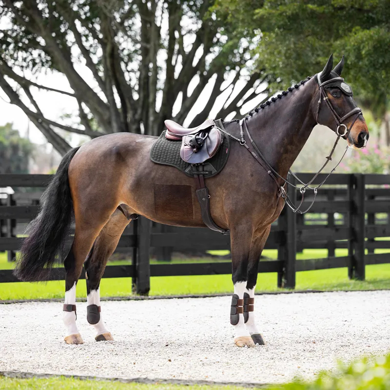 LeMieux ProSorb Plain 2-Pocket GP Square - Black-2