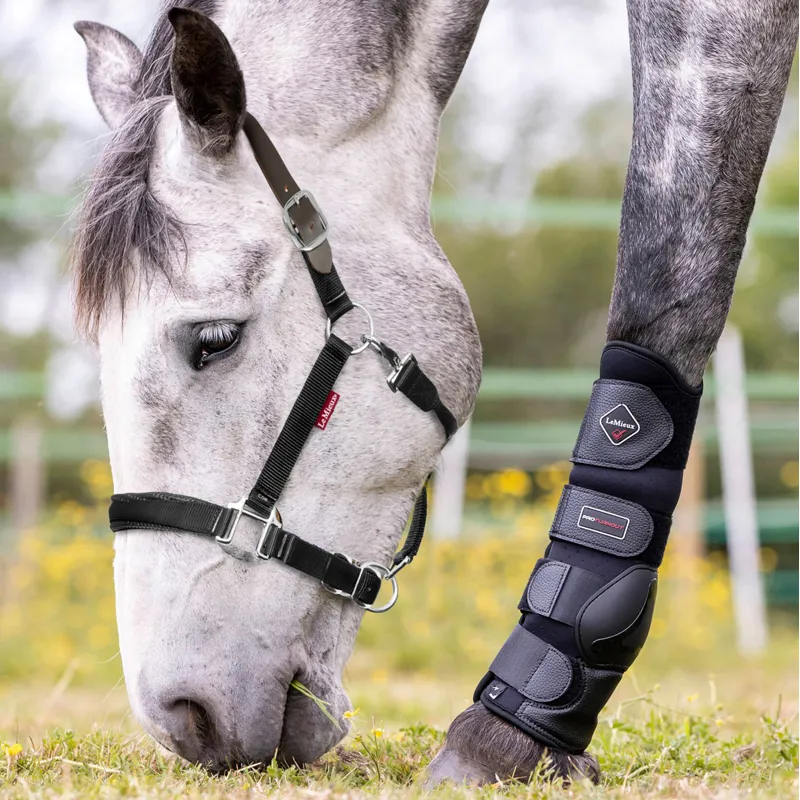 LeMieux Breakaway Headcollar - Black/Brown-1