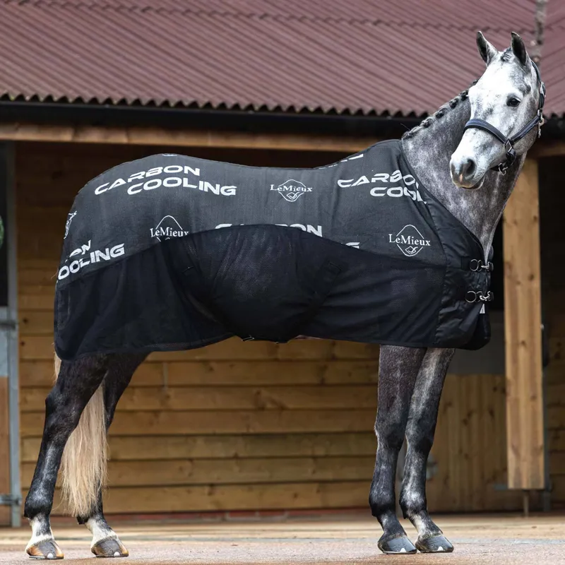 LeMieux Carbon Cooler - Black-2