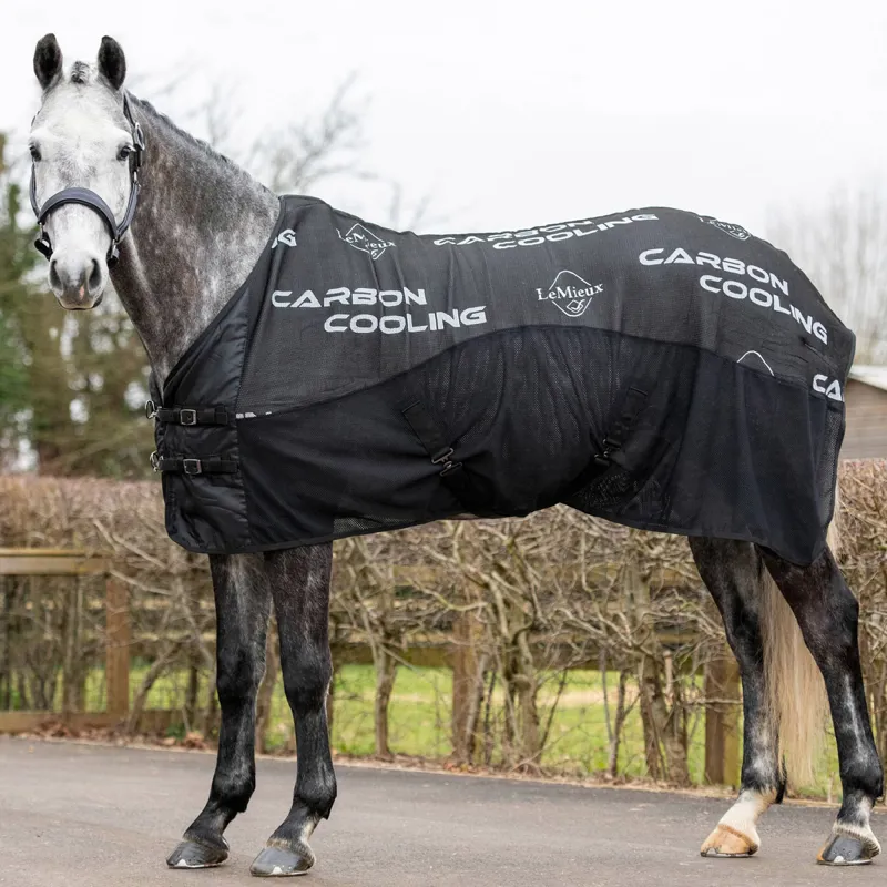 LeMieux Carbon Cooler - Black