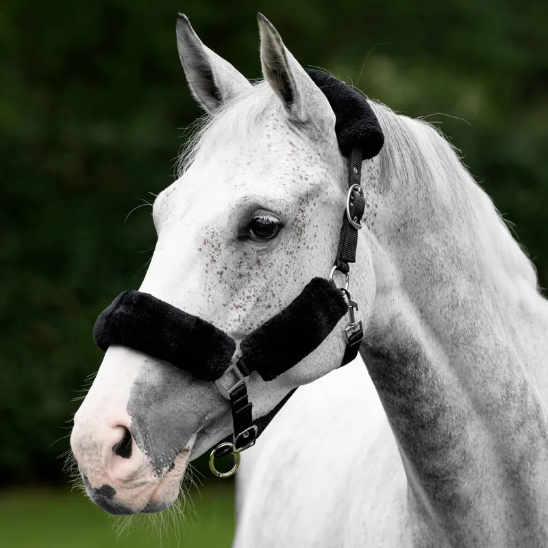 LeMieux Comfort Fleece Headcollar - Black/Grey-1