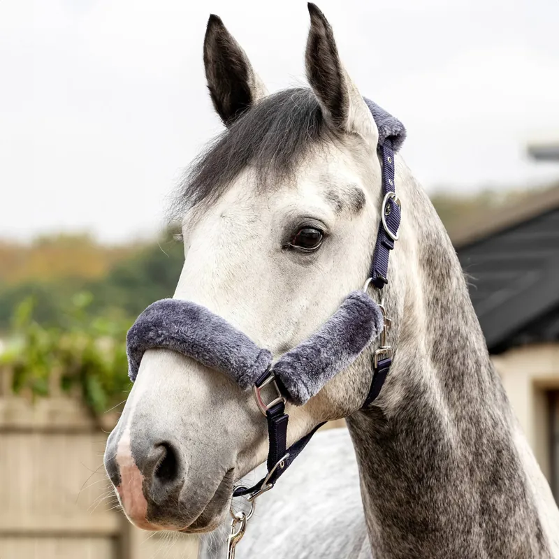 LeMieux Comfort Fleece Headcollar - Navy/Grey-1