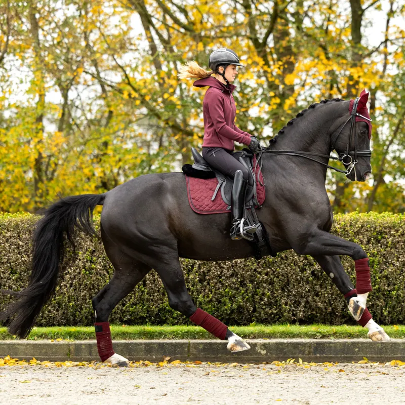 LeMieux Crystal Fly Hood - Burgundy-4