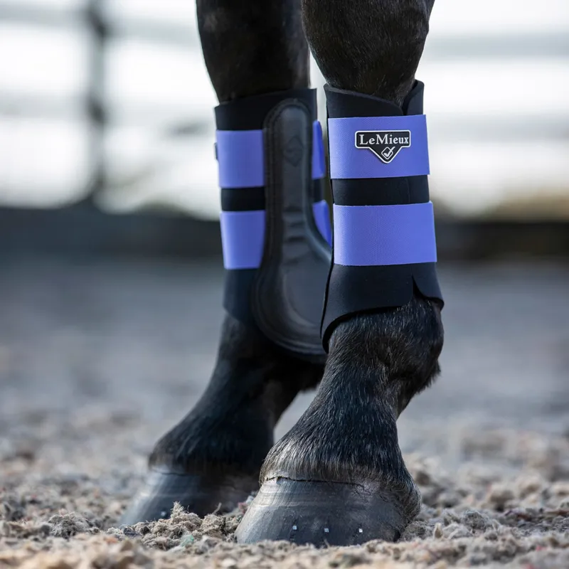 LeMieux Grafter Brushing Boots Bluebell