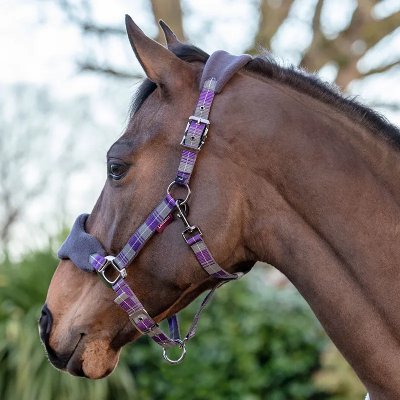 LeMieux Signature Headcollar and Leadrope Set Purple/Grey