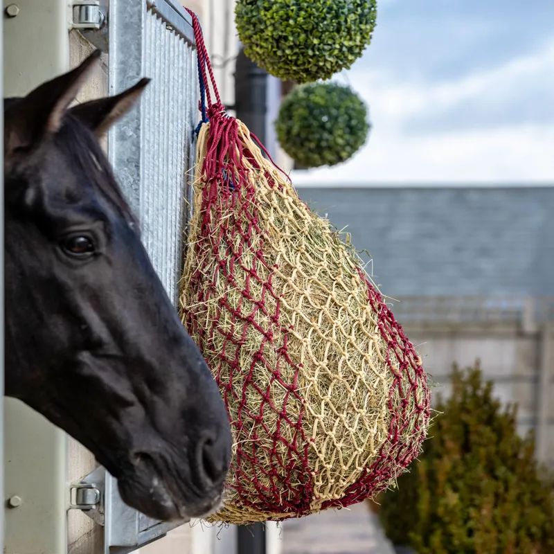 Lemieux Hippo Haynet Burgundy Beige Redpost Equestrian