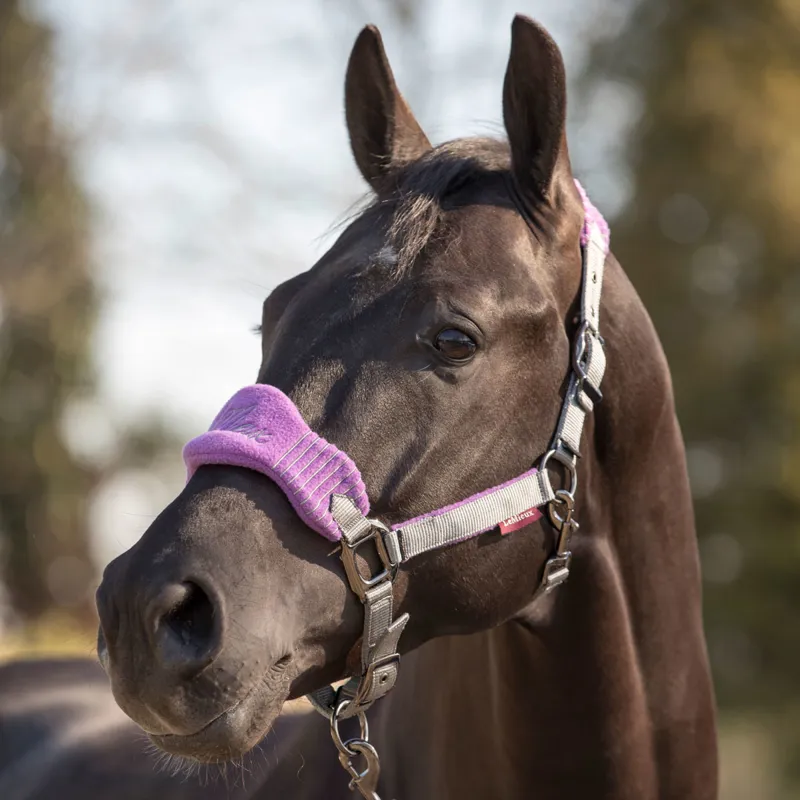 Lavender/Grey LeMieux Vogue Headcollar & Leadrope Halters & Headcollars