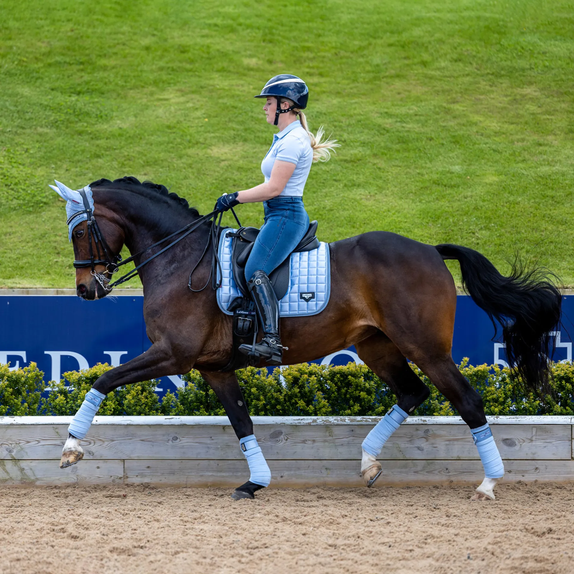 Carré D'équitation Grand Format Avec Motif Paon - Lemeiux Loire, Dressage Classique, Occasion