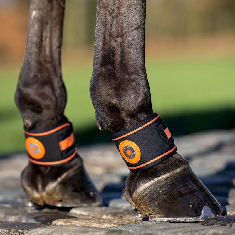 LeMieux Magno Pastern Wraps - Black-1