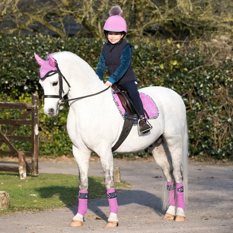 LeMieux Mini Fly Hood - Lavender-2