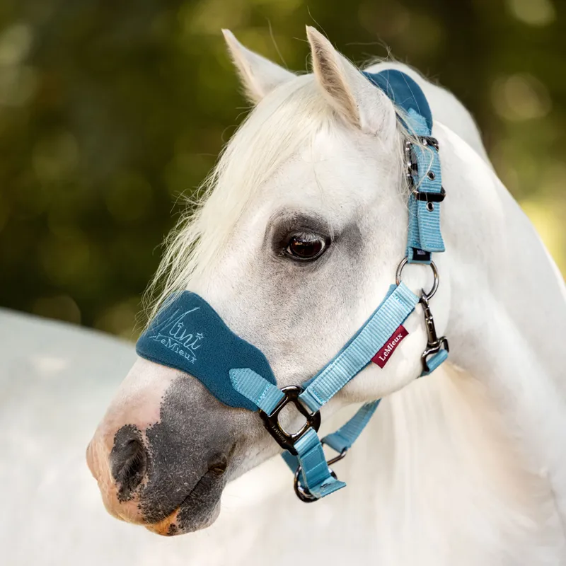 LeMieux Mini Vogue Headcollar and Lead Rope Marine