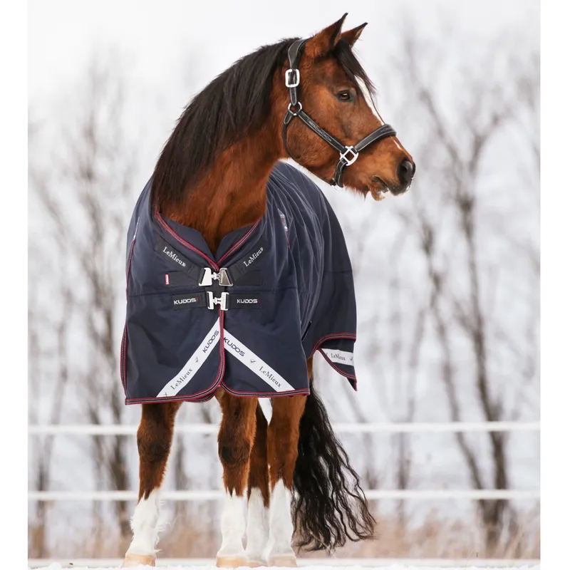 LeMieux Kudos 200g Detachable Neck Turnout Rug - Navy-4