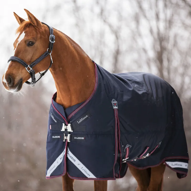 LeMieux Kudos 350g Detachable Neck Turnout Rug - Navy-6